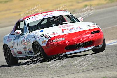 media/May-24-2025-Turn8 Trackdays (Sat) [[034586b55d]]/1 Advanced 2/Session 2 (Cotton Corners-Grapevine)/